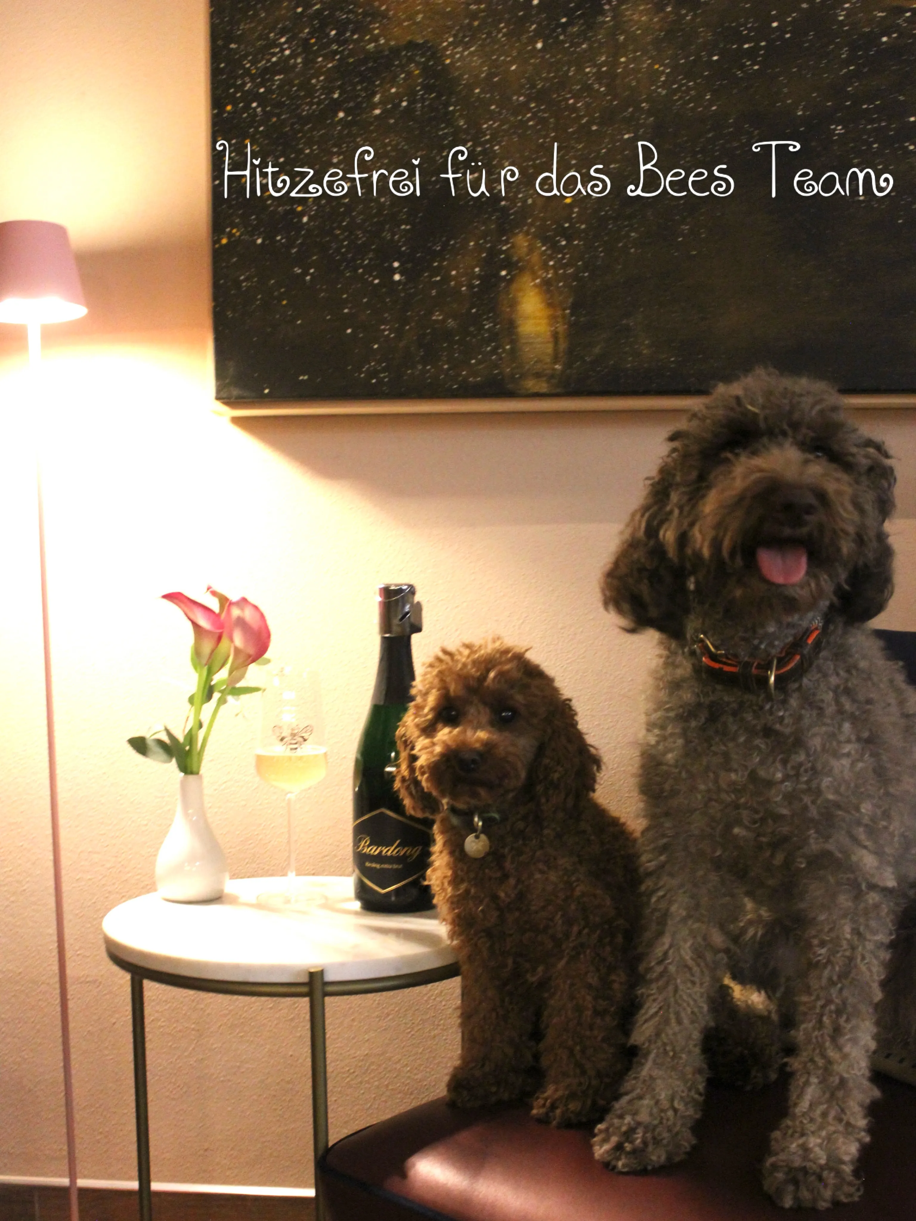Hitzefrei für das Bees Team!