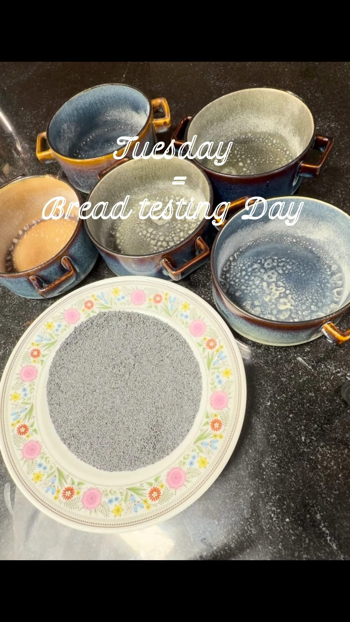 Es ist wieder Tuesday Bread Testing im Bees!